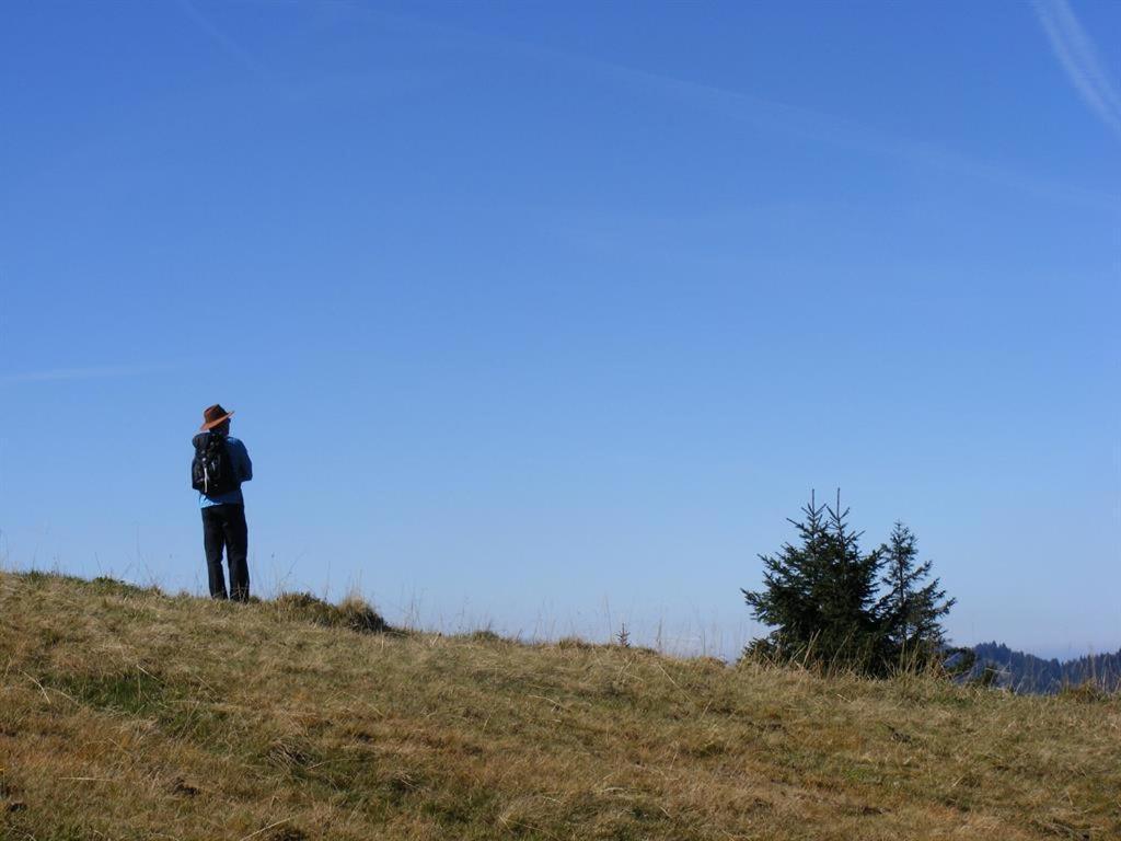 Ferienwohnung Landhaus Martin Sonthofen Bagian luar foto